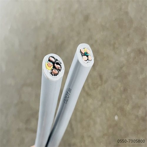 IMG_7937.jpg IMG_7937.jpg