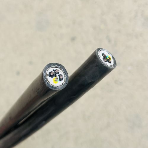 IMG_4483.jpg IMG_4483.jpg