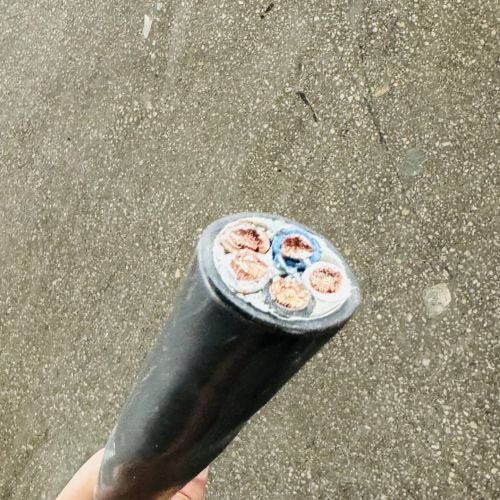 IMG_2313 (2).jpg IMG_2313 (2).jpg