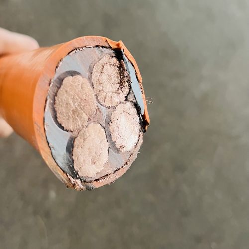 IMG_0076.jpg IMG_0076.jpg