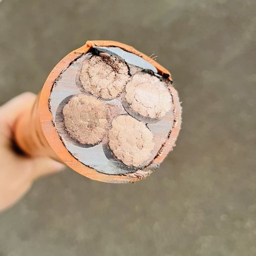 IMG_0079.jpg IMG_0079.jpg