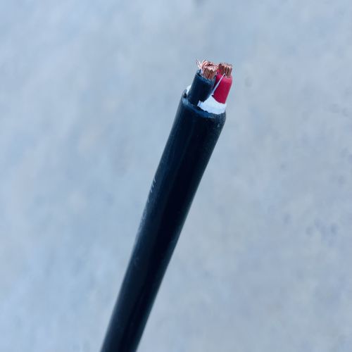 IMG_8956.jpg IMG_8956.jpg