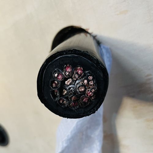 IMG_3289(1).jpg IMG_3289(1).jpg