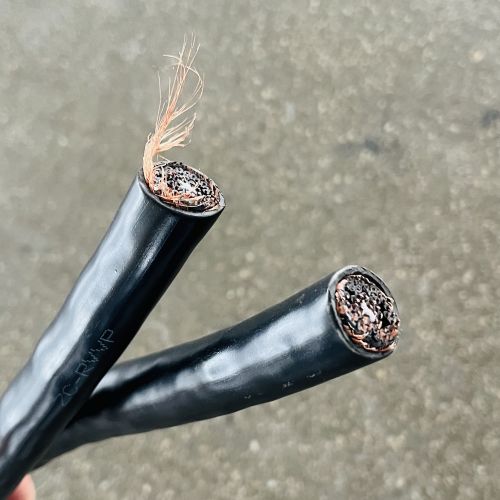 IMG_4913.jpg IMG_4913.jpg