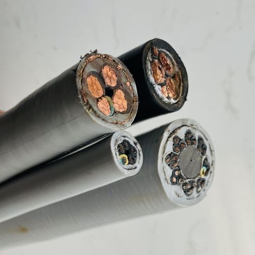 IMG_3259.jpg IMG_3259.jpg