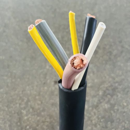 IMG_5338.jpg IMG_5338.jpg