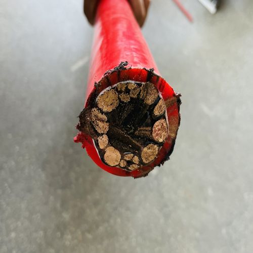 IMG_6383.jpg IMG_6383.jpg