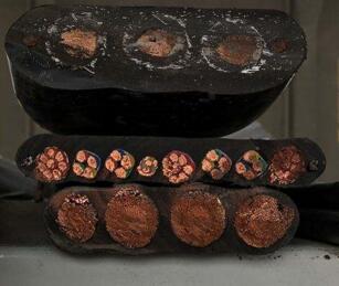 龙八- long8(国际)唯一官方网站