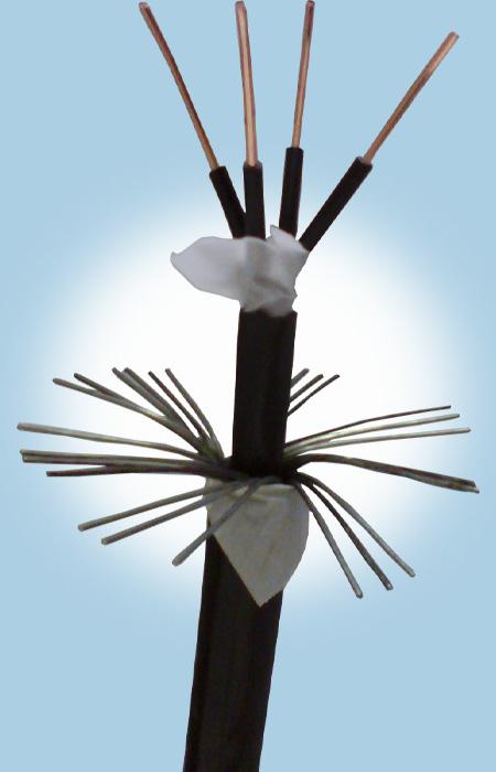 龙八- long8(国际)唯一官方网站