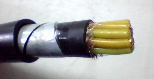 龙八- long8(国际)唯一官方网站