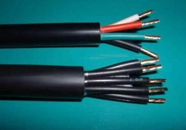 龙八- long8(国际)唯一官方网站