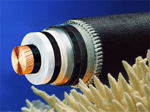 龙八- long8(国际)唯一官方网站