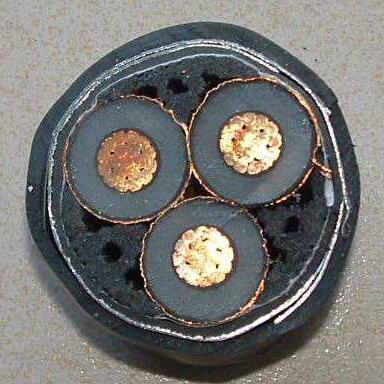 龙八- long8(国际)唯一官方网站