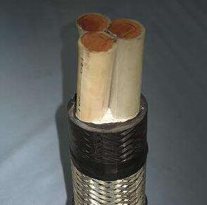 龙八- long8(国际)唯一官方网站