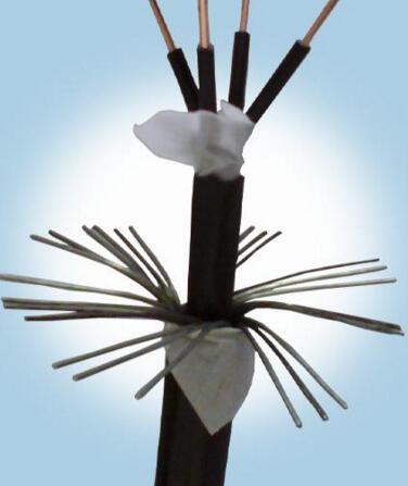 龙八- long8(国际)唯一官方网站