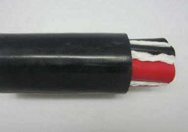 龙八- long8(国际)唯一官方网站