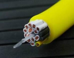 龙八- long8(国际)唯一官方网站