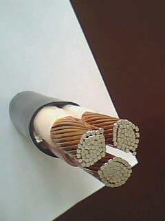 龙八- long8(国际)唯一官方网站