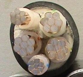 龙八- long8(国际)唯一官方网站