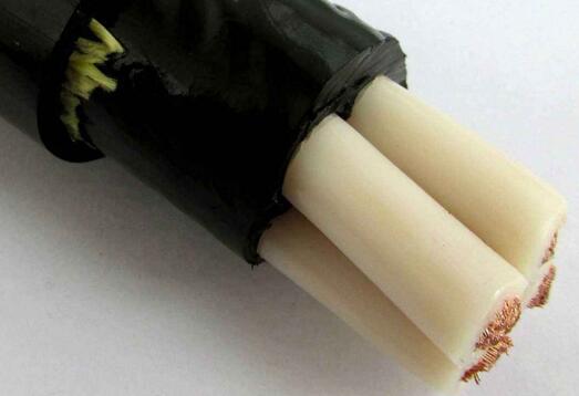 龙八- long8(国际)唯一官方网站