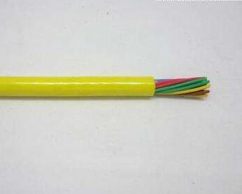 龙八- long8(国际)唯一官方网站