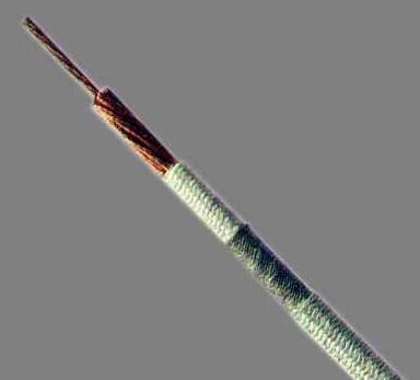 龙八- long8(国际)唯一官方网站