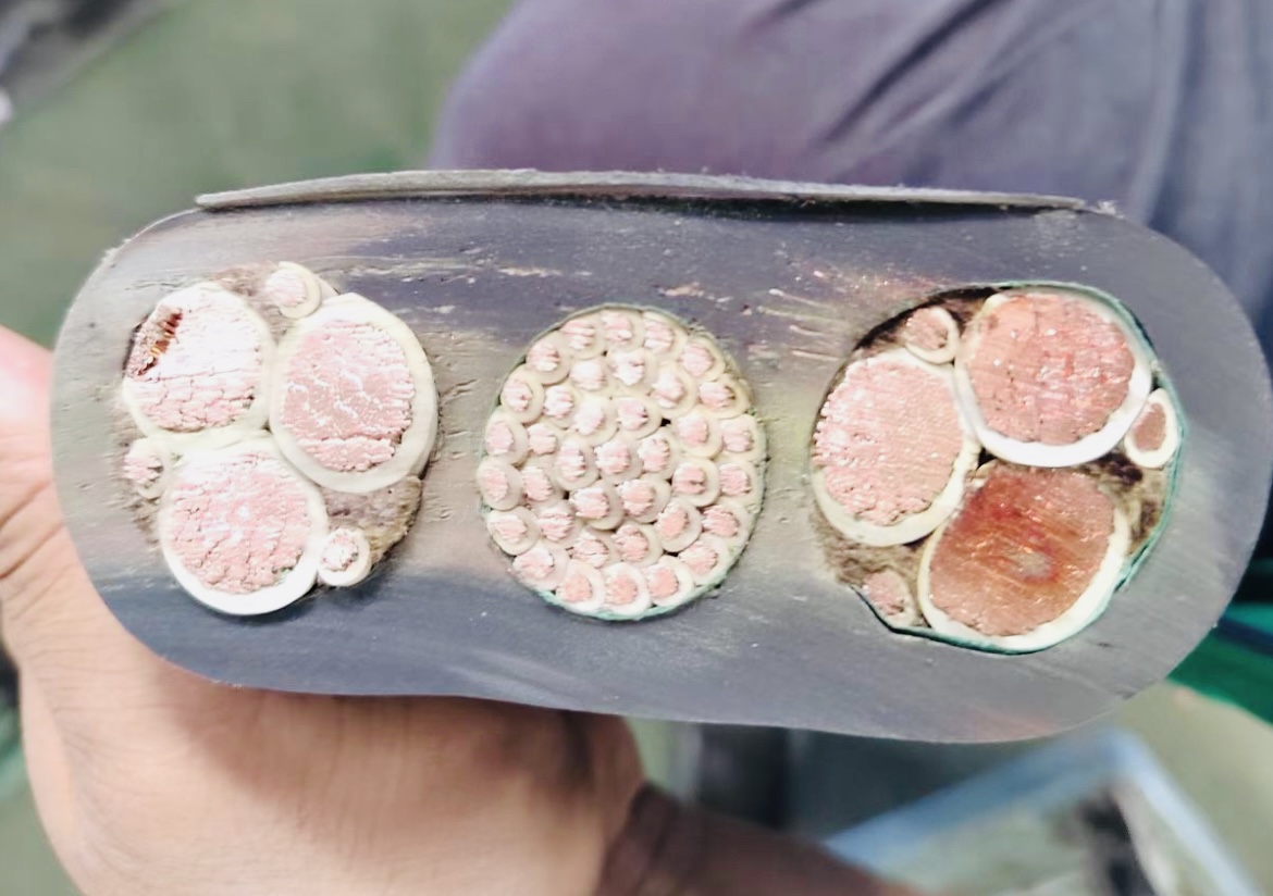 龙八- long8(国际)唯一官方网站