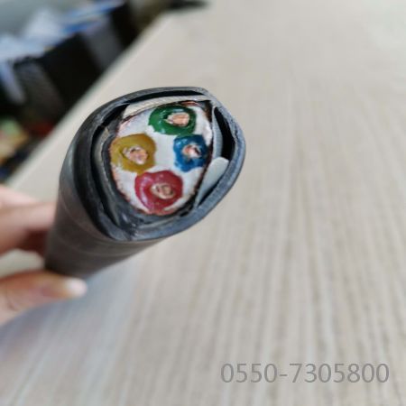 龙八- long8(国际)唯一官方网站