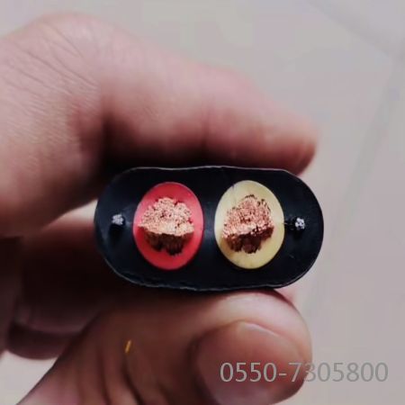 龙八- long8(国际)唯一官方网站