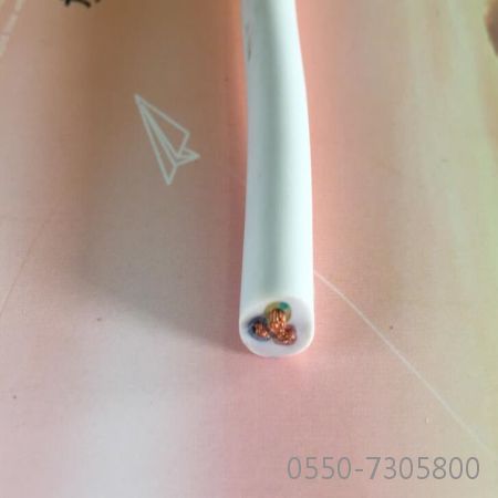 龙八- long8(国际)唯一官方网站