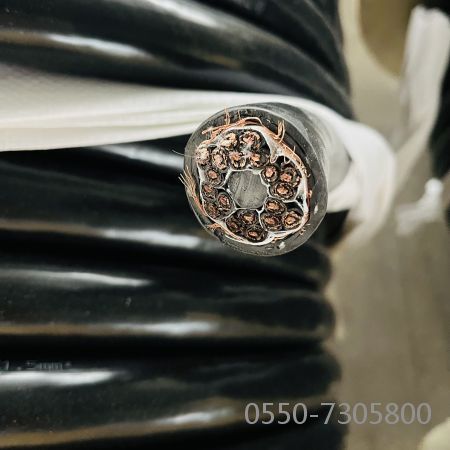 龙八- long8(国际)唯一官方网站