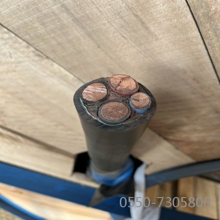 龙八- long8(国际)唯一官方网站