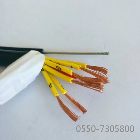 龙八- long8(国际)唯一官方网站