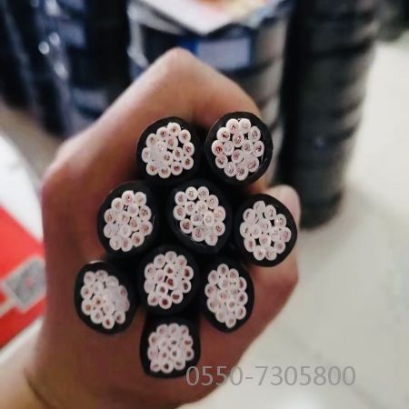 龙八- long8(国际)唯一官方网站