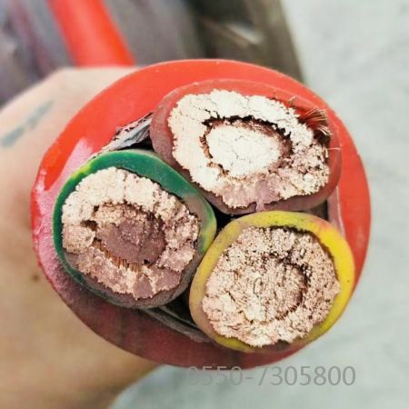 龙八- long8(国际)唯一官方网站