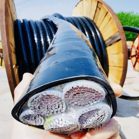 龙八- long8(国际)唯一官方网站