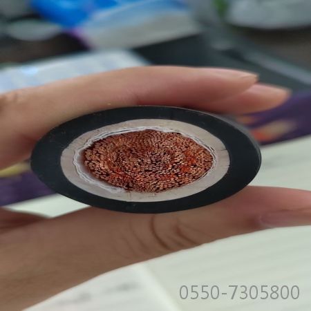 龙八- long8(国际)唯一官方网站