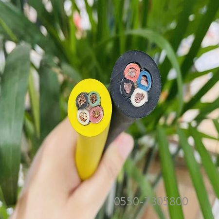 龙八- long8(国际)唯一官方网站