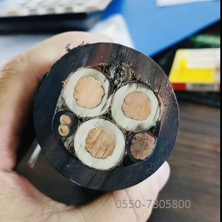 龙八- long8(国际)唯一官方网站