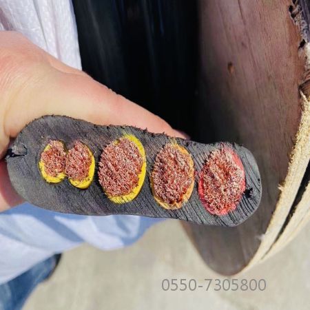 龙八- long8(国际)唯一官方网站