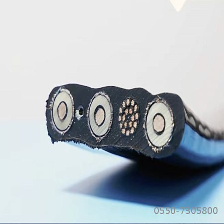 龙八- long8(国际)唯一官方网站