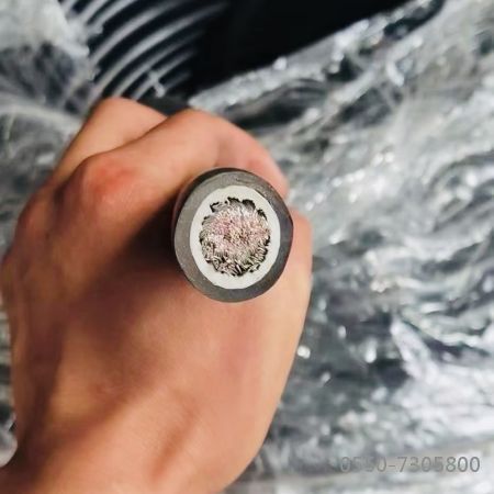 龙八- long8(国际)唯一官方网站