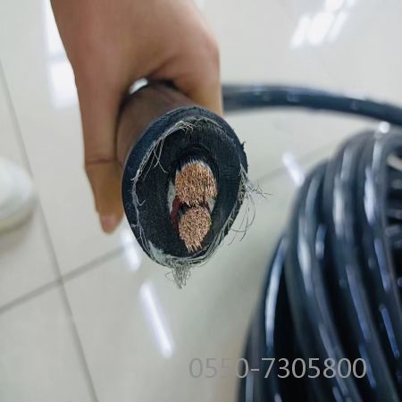 龙八- long8(国际)唯一官方网站