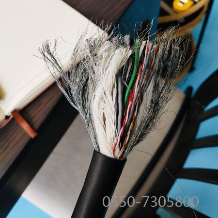 龙八- long8(国际)唯一官方网站