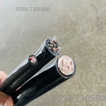 龙八- long8(国际)唯一官方网站