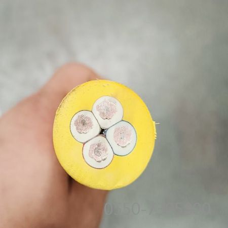 龙八- long8(国际)唯一官方网站