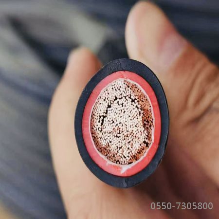 龙八- long8(国际)唯一官方网站