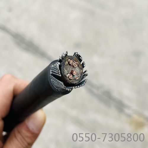 龙八- long8(国际)唯一官方网站