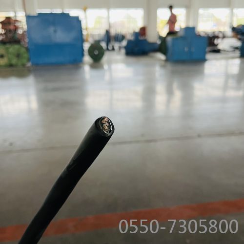 龙八- long8(国际)唯一官方网站