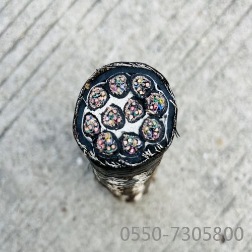 龙八- long8(国际)唯一官方网站